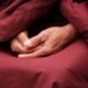 Slow Down: A Buddhist Monk Shares His Path to Happiness